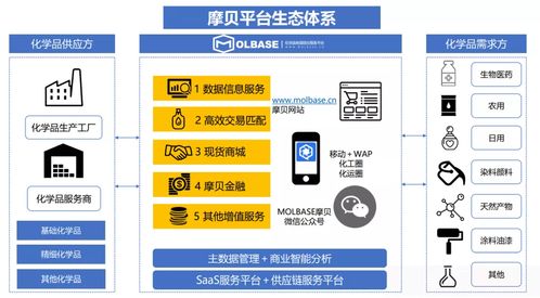 中國化工企業管理協會數字化專委會新春座談召開，摩貝斬獲多項授牌引領行業數字化升級